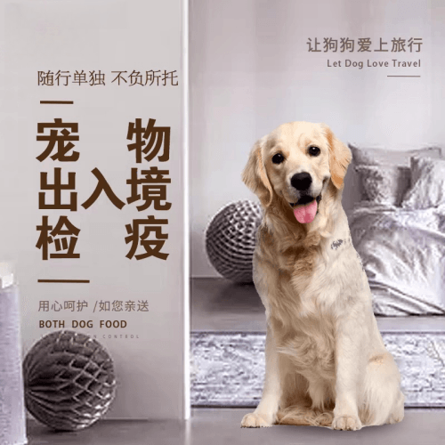 徐汇区宠物托运到哥伦比亚猫狗宠物入境规定和