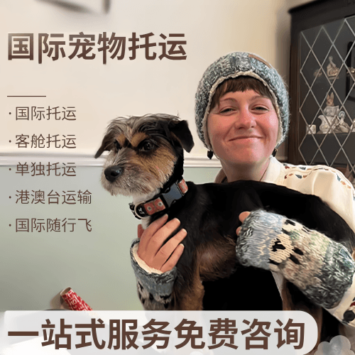 徐汇区国际宠物托运到阿根廷宠物入境规定和要
