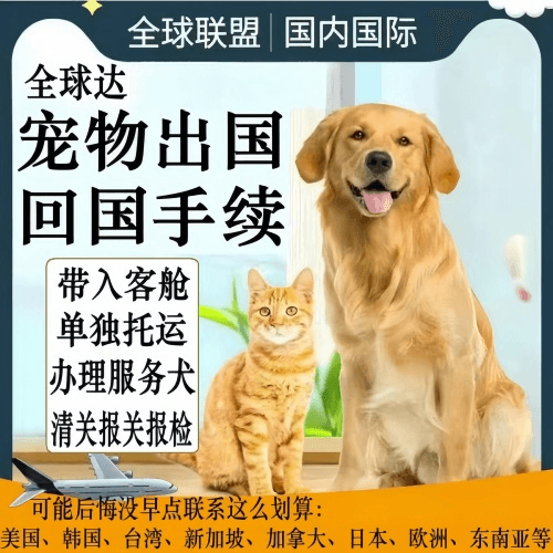 徐汇区宠物托运到柬埔寨宠物入境规定和要求