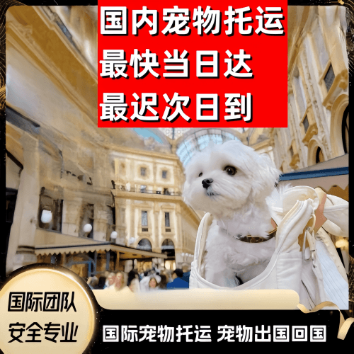徐汇区到澳大利亚（澳洲）宠物入境规定和要求